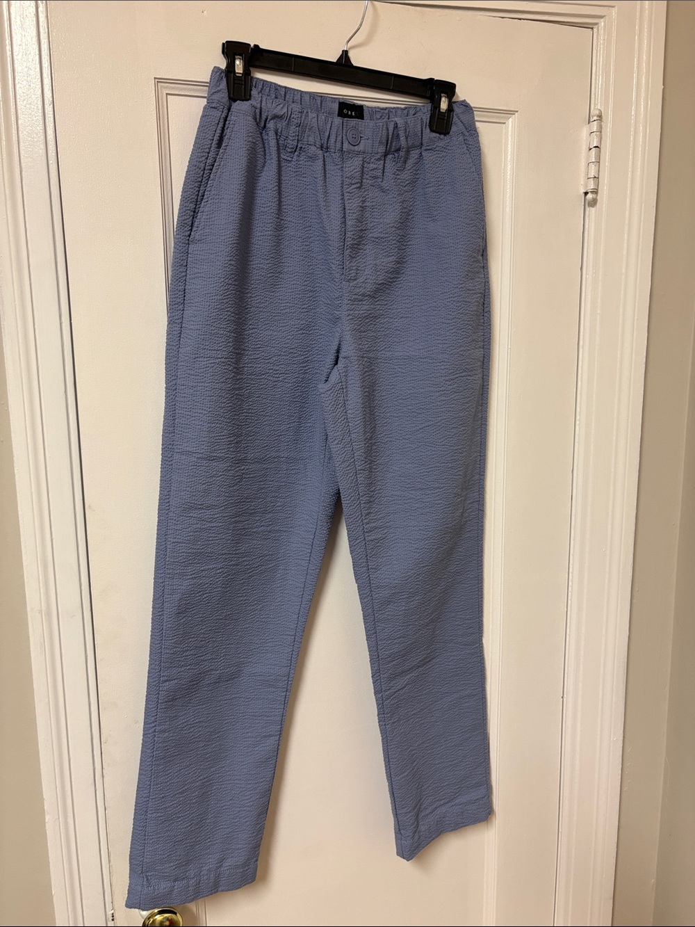 Obey Women’s  Lightweight Textured Pants in Light Blue